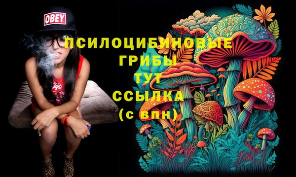 хмурый Осинники