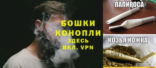 хмурый Осинники