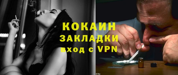 хмурый Осинники