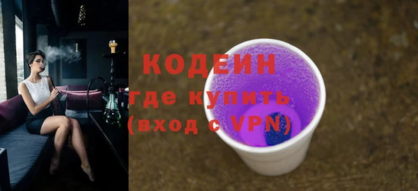 хмурый Осинники