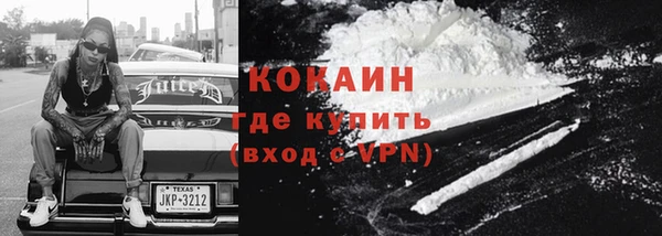 хмурый Осинники